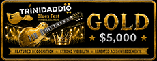 Gold Level Sponsor