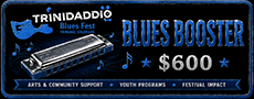 Blues Booster Level Sponsor